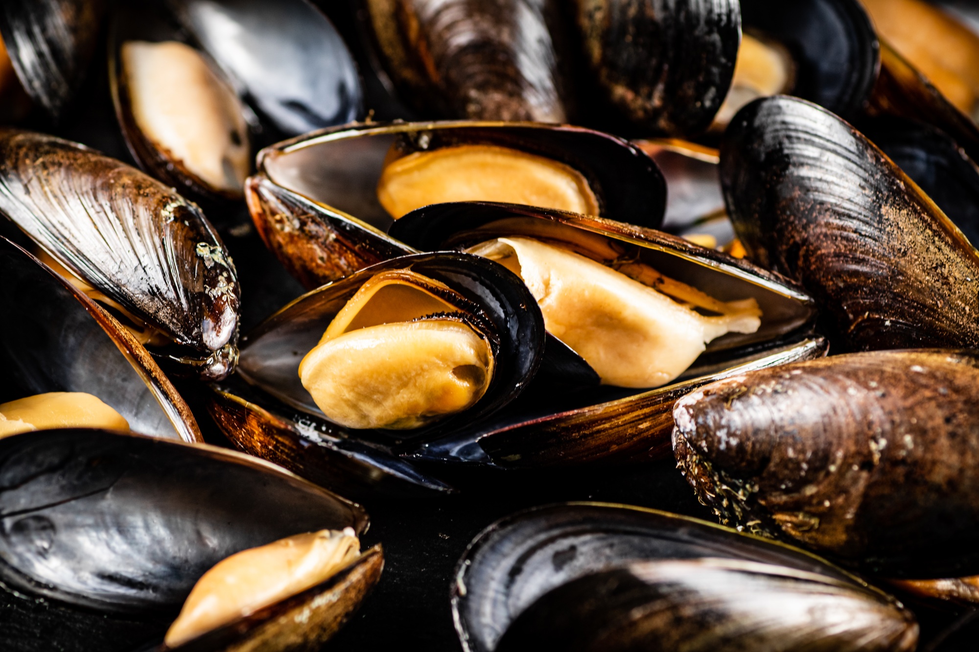Boiled mussels. Macro background.
